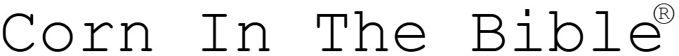 Corn in the Bible Banner